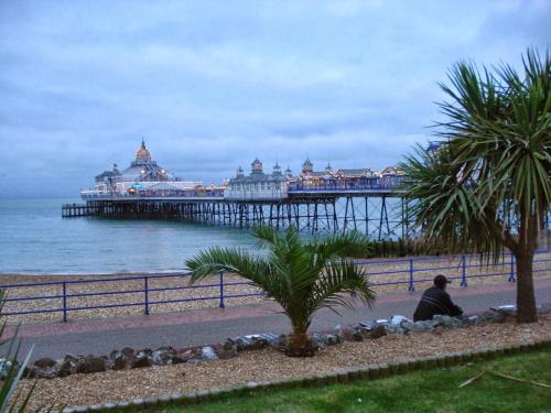 a person sitting on the beach near a pier at Eastbourne Riviera Hotel in Eastbourne