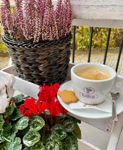 a cup of coffee sitting on a table next to a plant at Hotel i Restauracja Castle in Bystrzyca Kłodzka