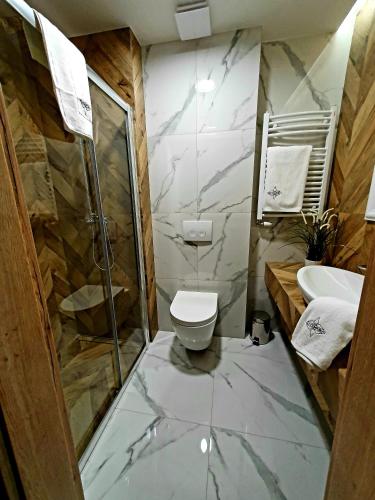 a bathroom with a shower and a toilet and a sink at Villa Olimpijska 2 - Centrum in Wisła
