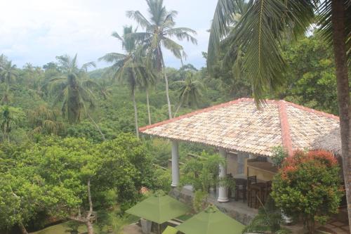 a house in the middle of a forest with palm trees at The Spice House Mirissa in Mirissa