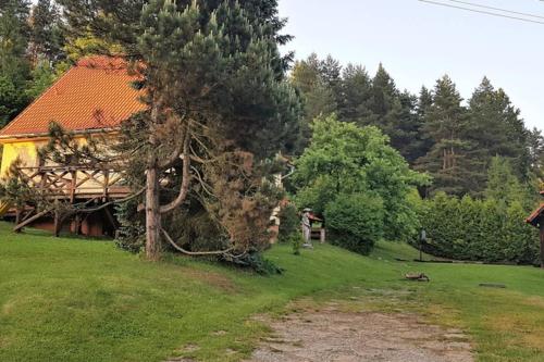 a tree in a field next to a house at Chata Horáreň in Smižany