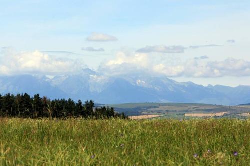 a field of grass with mountains in the background at Chata Horáreň in Smižany