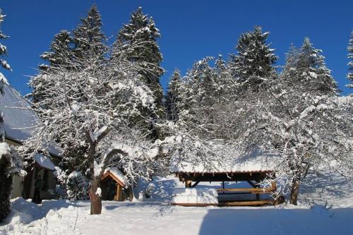 a house covered in snow next to trees at Chata Horáreň in Smižany