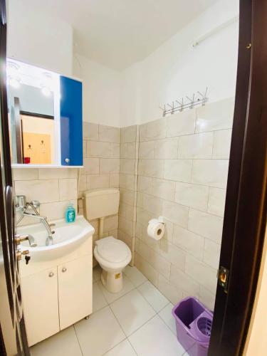 a bathroom with a toilet and a sink and a mirror at Cozy Apartments zona Insula de agrement in Bacău