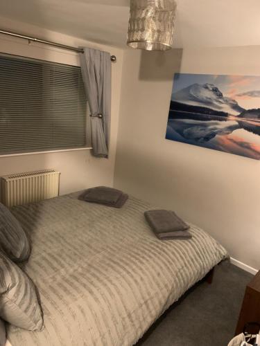ein Schlafzimmer mit einem Bett und einem Wandgemälde in der Unterkunft Saint Johns Rest in Biggleswade
