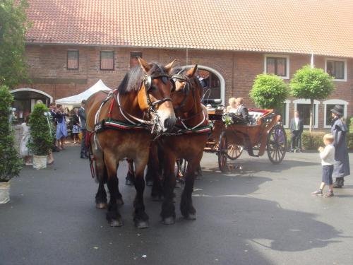 two brown horses pulling a carriage in a street at Landhotel Meier Gresshoff in Oelde