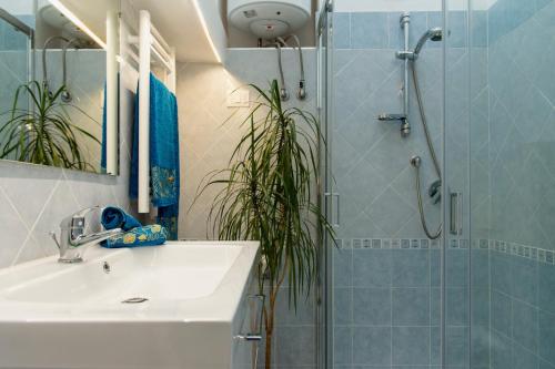 a bathroom with a sink and a shower at Tramonto sul Lago in Passignano sul Trasimeno