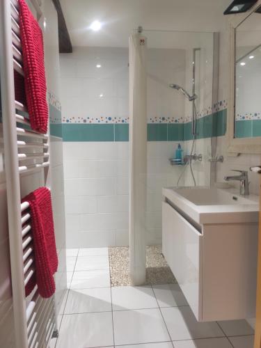 y baño blanco con lavabo y ducha. en Les chambres de la Caussade, en Lautrec