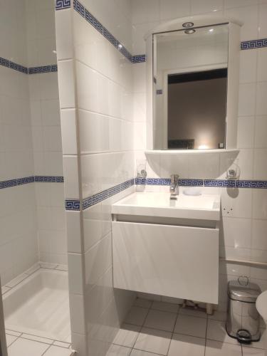 La salle de bains blanche est pourvue d'un lavabo et d'un miroir. dans l'établissement Les chambres de la Caussade, à Lautrec