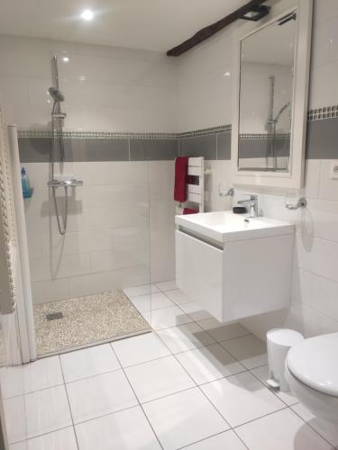 La salle de bains blanche est pourvue d'un lavabo et d'une douche. dans l'établissement Les chambres de la Caussade, à Lautrec