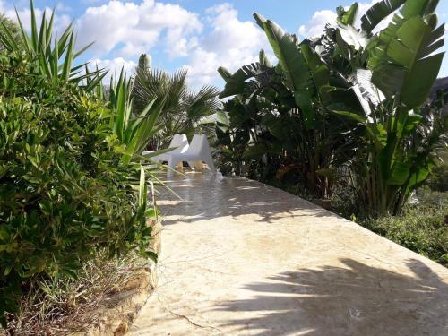 宿泊客と一緒にLa Suite Di Segestaに滞在中のペット