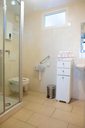 a bathroom with a toilet and a sink and a shower at Niedersburger Eck, wandern, radfahren, genießen, erholen in Boppard