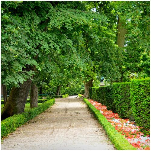 a path in a park with trees and flowers at Appart Hôtel Albi in Albi