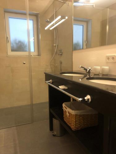 La salle de bains est pourvue d'un lavabo et d'une douche avec un miroir. dans l'établissement DAS Max, à Dalaas