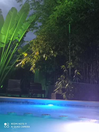 a swimming pool with trees and blue water at Palmas de Chahue in Santa Cruz Huatulco