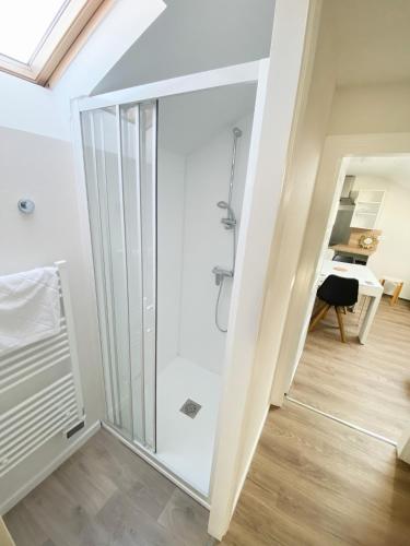 Cette chambre dispose d'une douche en verre et d'un bureau. dans l'établissement ALBIAPPART(2), à Albi