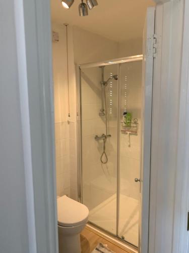 a bathroom with a shower and a toilet at Ventnor Bay House in Ventnor