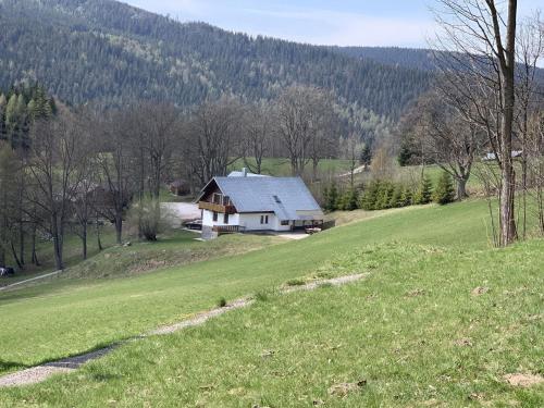 a house on a hill with a green field and trees at Chata Nový svět in Strážné