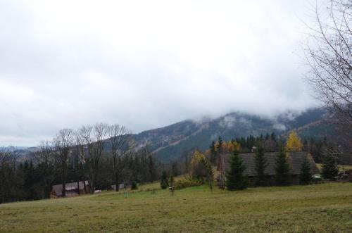 a house in a field with a mountain in the background at Chata Nový svět in Strážné