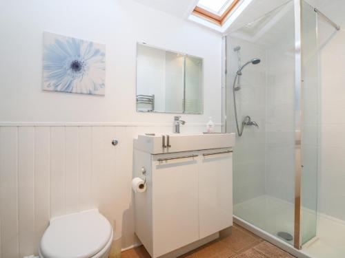 łazienka z toaletą i prysznicem w obiekcie George Cottage w mieście Blairgowrie