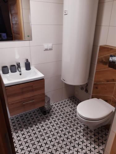 Koupelna v ubytování Górska Chata pod wyciągiem Remiaszów nr IX ski bus pod domkami