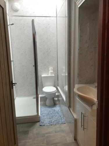 a bathroom with a toilet and a shower and a sink at Penybryn Cottages in Aberdare