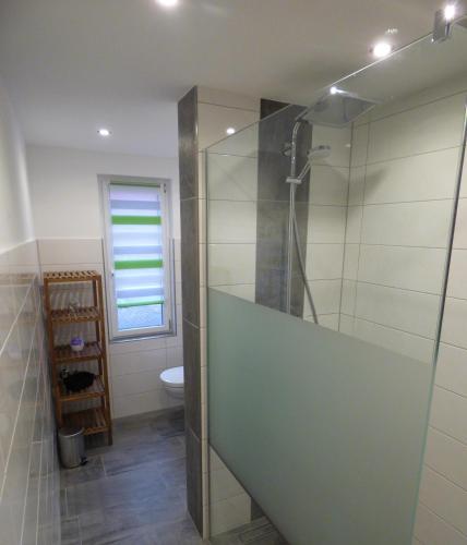 a bathroom with a glass shower with a toilet at Uckermark "Ferienwohnung Sommerfugl " in Passow