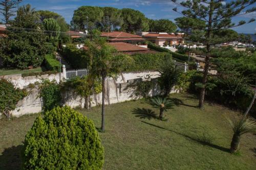 an aerial view of a yard with trees and bushes at VILLA VEGA in Fontane Bianche