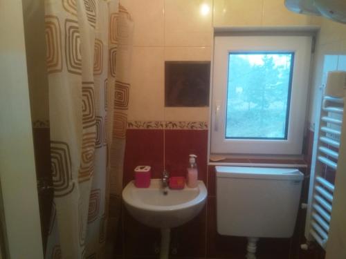 een badkamer met een wastafel en een toilet en een raam bij Kuća za odmor Sofija in Divčibare