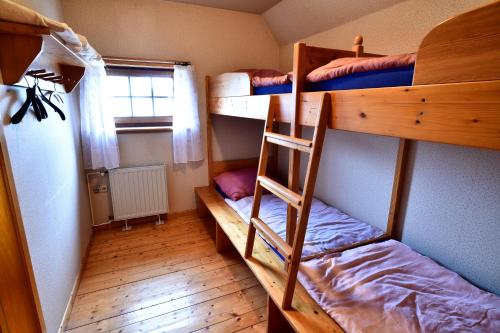 two bunk beds in a small room with a ladder at FEWO Wittener Hütte in Langenbach b.K. in Langenbach bei Kirburg