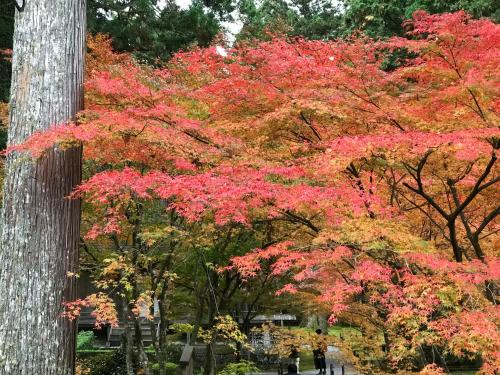 Taman di luar Ohara Sensui Surrounded by Beautiful Nature