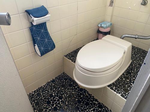 a bathroom with a toilet with a black and white floor at Oyado Sukeya in Saijo