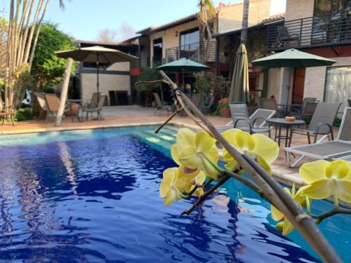 a pool with blue water and yellow flowers in front of a house at Sol de Luque Casa-hotel in Luque