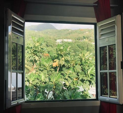 a window with a view of a forest of trees at Habitation Baliache - Maison créole avec jardin privatif, plage à 200m in Deshaies