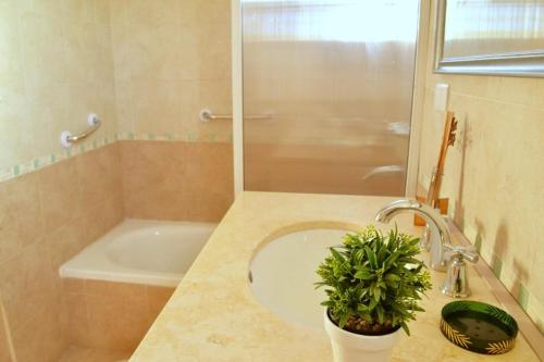 a bathroom with a sink and a tub with a potted plant at El Sueño de Teresita in Bahía Blanca