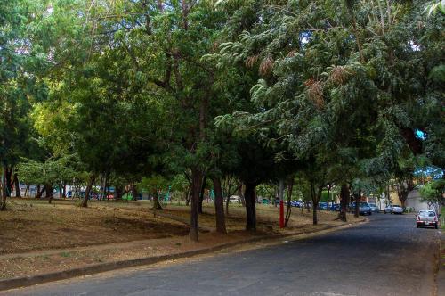 a street with trees on the side of a road at Casa Lucia in Managua