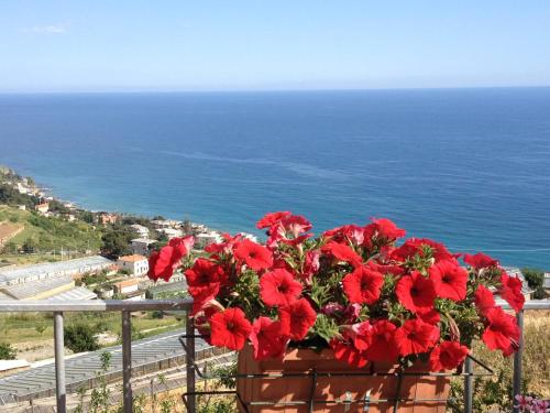 a pot of red flowers on a balcony overlooking the ocean at Villa Mont des Oliviers CITRA-8055LT-1805 e 1807 in Sanremo