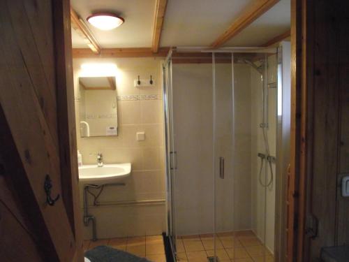 a bathroom with a shower and a sink at Vakantiehuisjes Landgoed Sonneborghe in Kollumerzwaag
