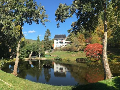 a pond in a garden with a house in the background at Appartements Maison Bellevue in Munster