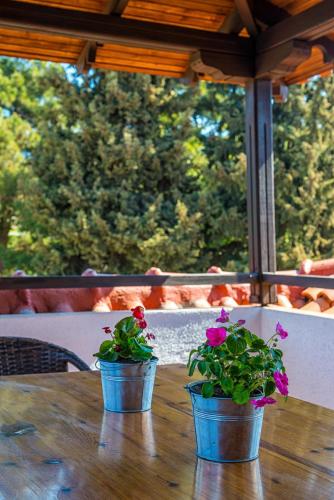 Μπαλκόνι ή βεράντα στο Georgalas Sun Beach Resort