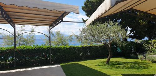 Apartment Olivari