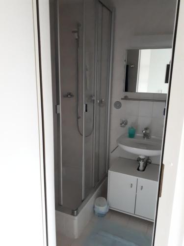uma casa de banho com um chuveiro e um lavatório. em BnB chez Fanfan em Morges