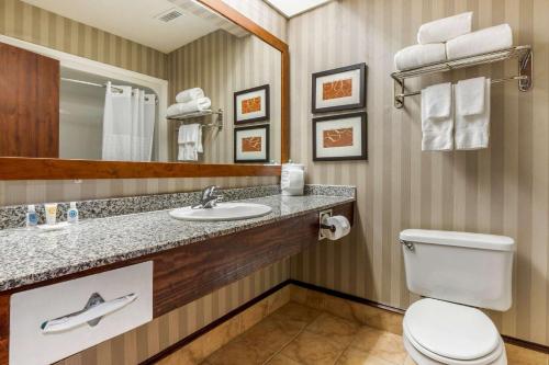 a bathroom with a toilet and a sink and a mirror at Comfort Inn Summerville - Charleston in Summerville
