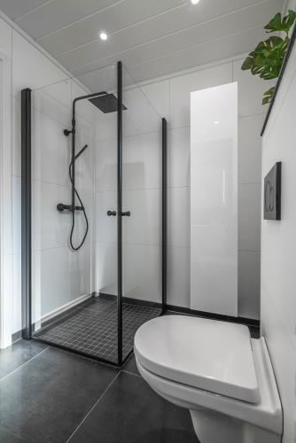 a bathroom with a shower and a toilet at Seafront new cabin in Lofoten in Ballstad