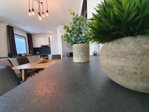 a kitchen and dining room with two large vases with plants at Beim Nannerl in Forstau