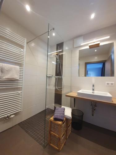La salle de bains est pourvue d'un lavabo et d'une douche en verre. dans l'établissement Beim Nannerl, à Forstau
