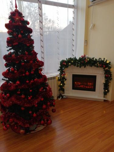 a christmas tree in a living room with a fireplace at Casa Ovi și Simo in Haţeg