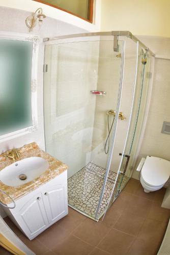 a bathroom with a shower and a sink and a toilet at La Maisonnette in Braşov
