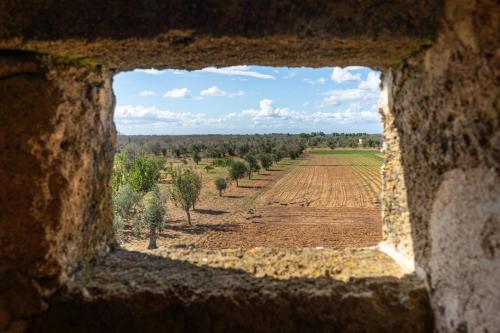 a view of a field from a stone window at Masseria Tornesella Don Giuliano in Parabita