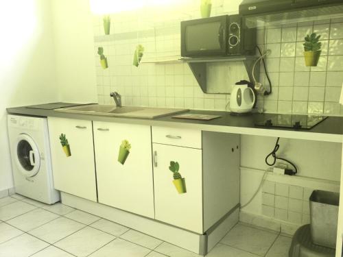 eine Küche mit einer Spüle und einer Waschmaschine in der Unterkunft ALLEGRO in Pointe-à-Pitre